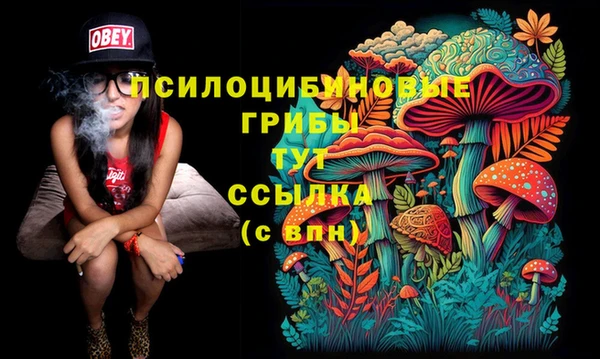 скорость Алексин