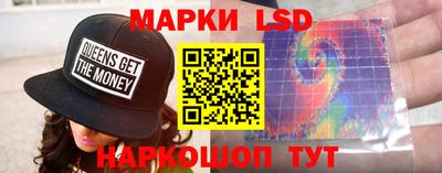 шишки Гатчина