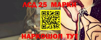 шишки Гатчина
