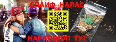 шишки Гатчина