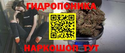 шишки Гатчина