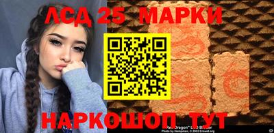 шишки Гатчина