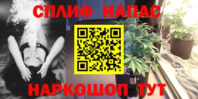 тгк Гай
