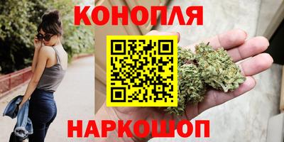 тгк Гай