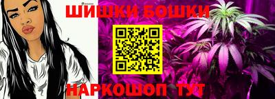 тгк Гай