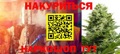 шишки Гатчина