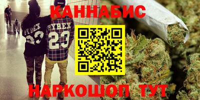 шишки Гатчина