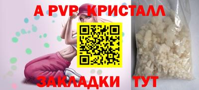 тгк Гай