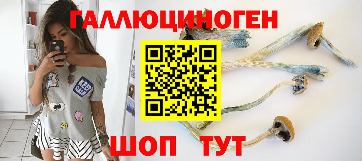 Крымск  Галлюциногенные грибы ЛСД  Вход с VPN 